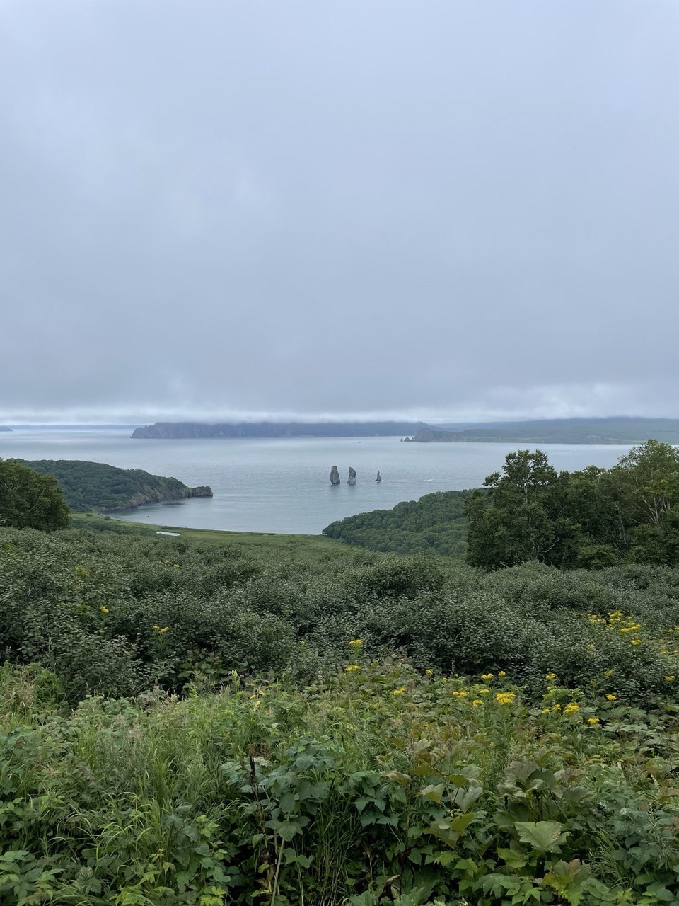 Отзыв о экскурсии "На Камчатке — вкусно есть: гастротур с рыбалкой и крабовой вечеринкой у океана" — фото 4