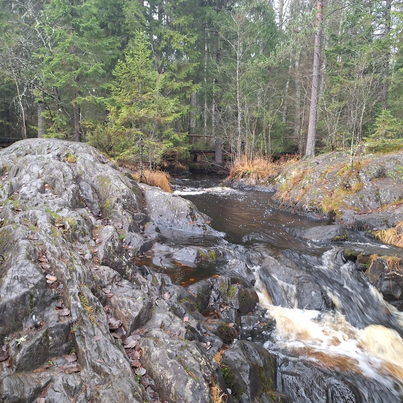Отзыв о экскурсии "Из Сортавалы — по следам викингов и добытчиков мрамора" — фото 3