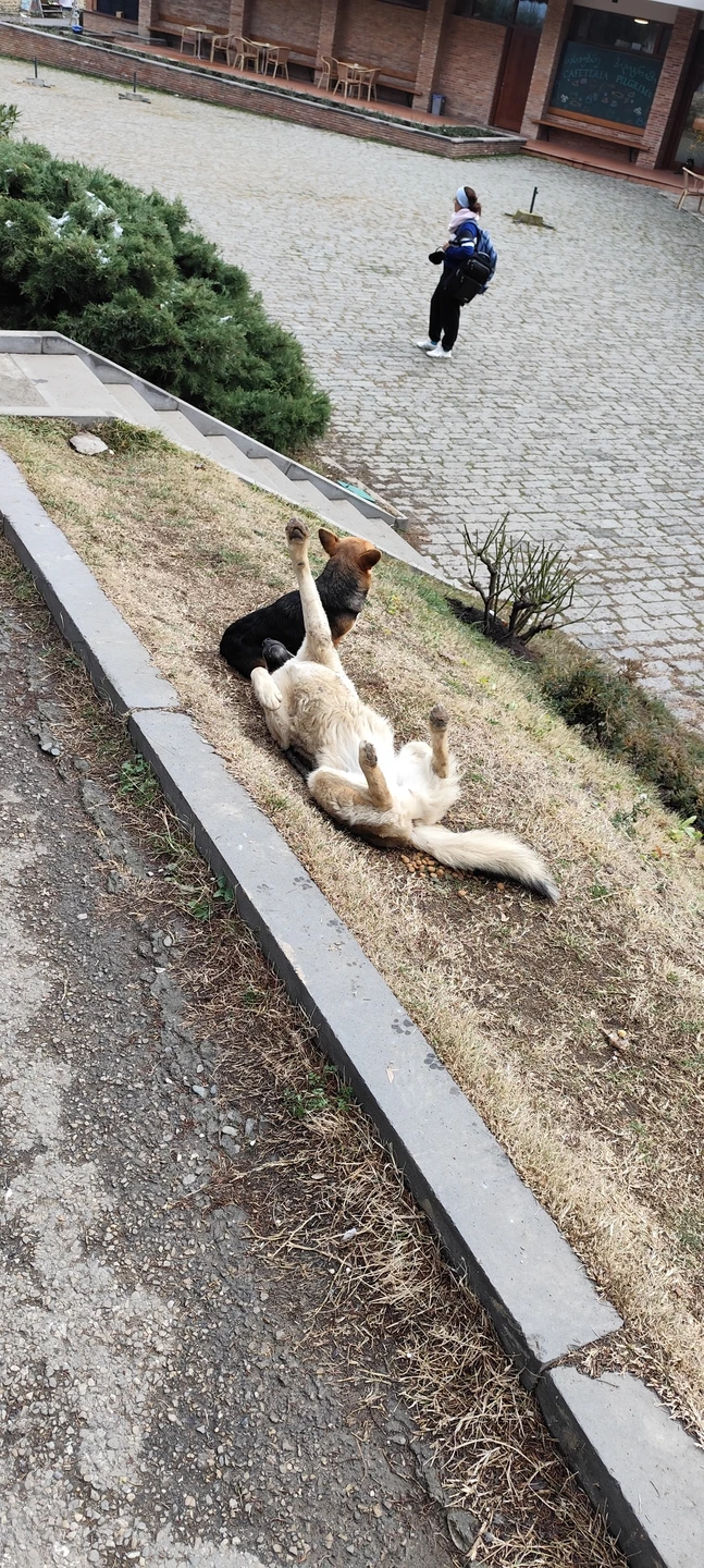 Фото путешественника — 6