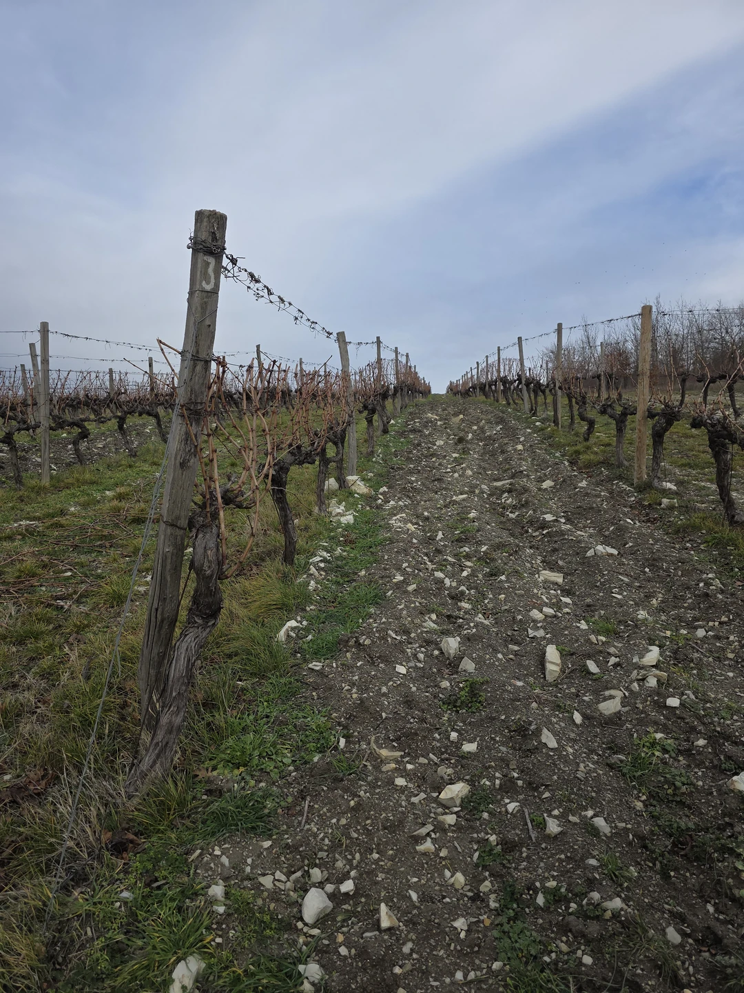 Отзыв о экскурсии "Винные открытия: Скалистый берег, Шумринка и Гай-Кодзор" — фото 3