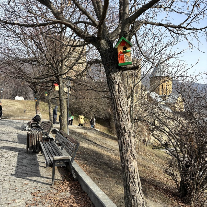 Отзыв о экскурсии "Кататься — в Гудаури!" — фото 1