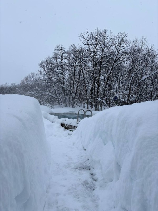 Отзыв о экскурсии "Вилючинский перевал: вулканы, водопады и Малая долина гейзеров!" — фото 2