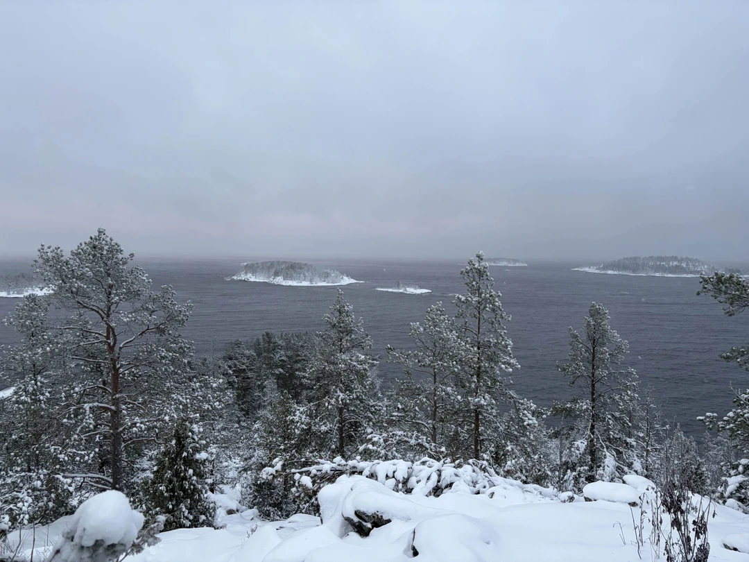Отзыв о экскурсии "Прогулка по Ладожским шхерам на аэролодке" — фото 3