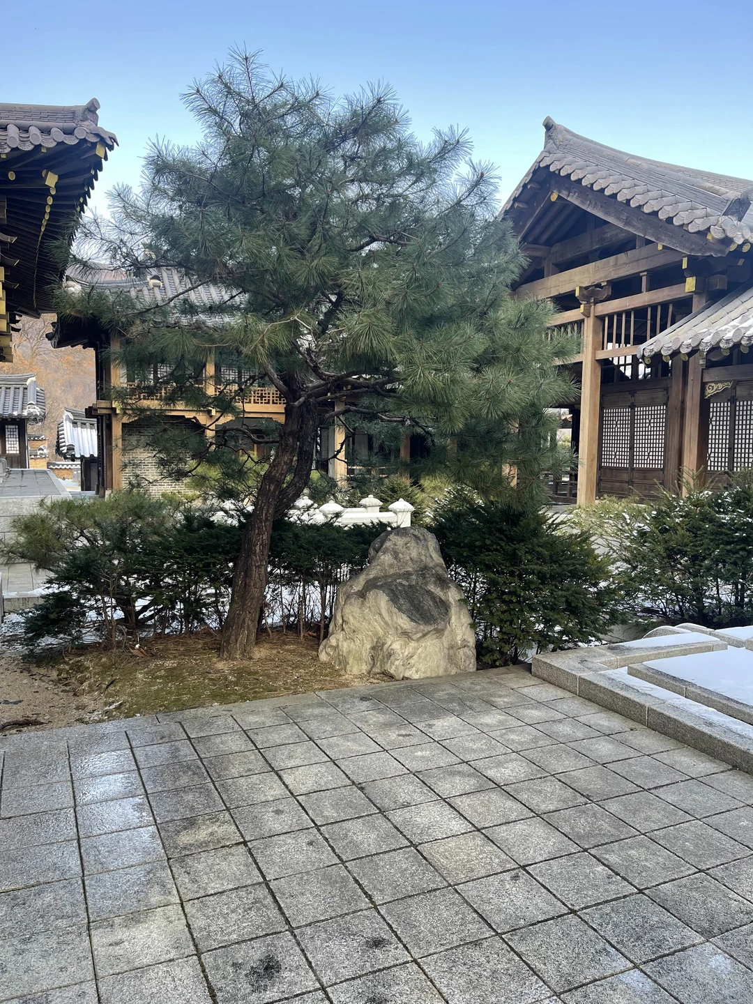 Отзыв о экскурсии "Парк Дэ Чан Гым и K-рор культура" — фото 4