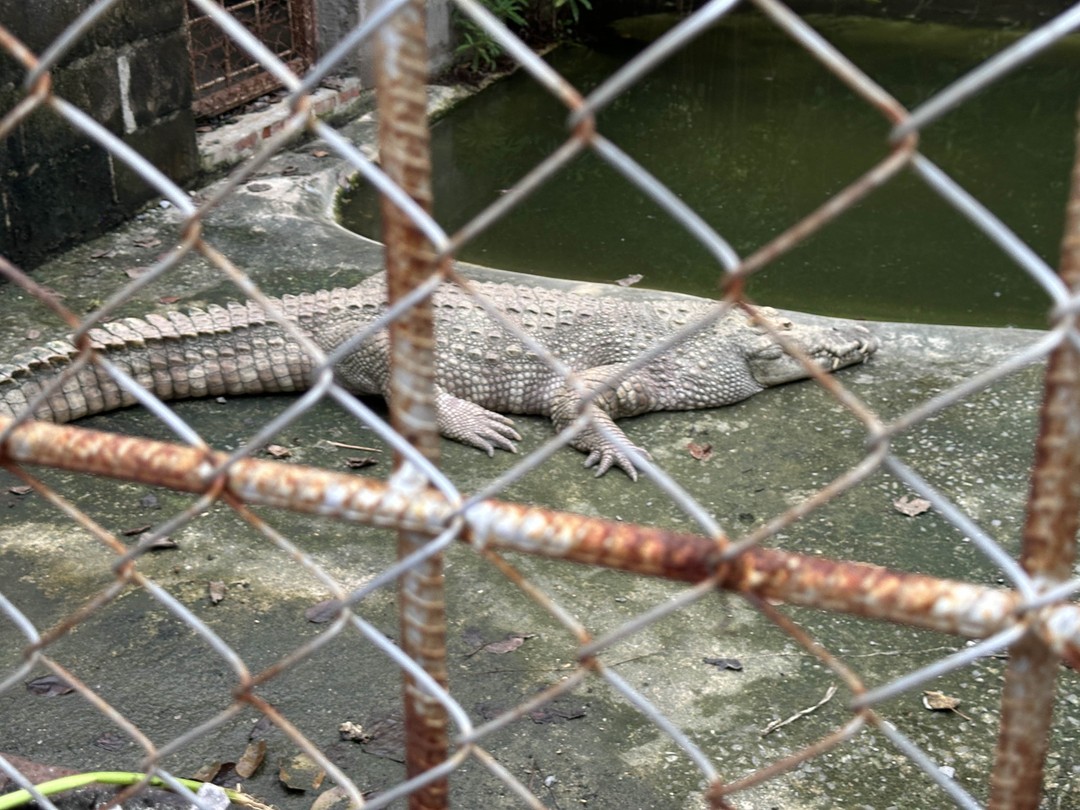 Отзыв о экскурсии "Открывая мир вокруг Бангкока" — фото 3
