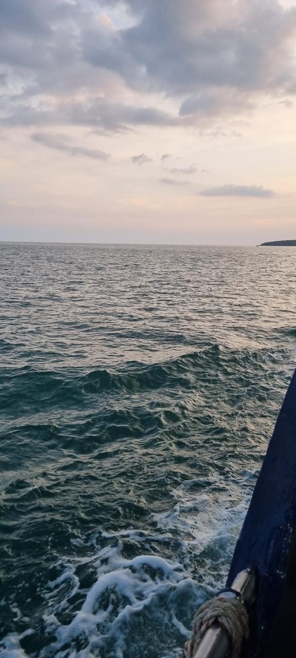 Отзыв о экскурсии "На парусном катамаране — к Коралловому острову" — фото 1