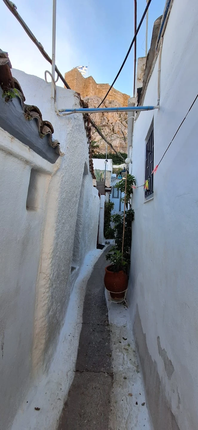 Отзыв о экскурсии "2 в 1: Афинский Акрополь и Старый город" — фото 2