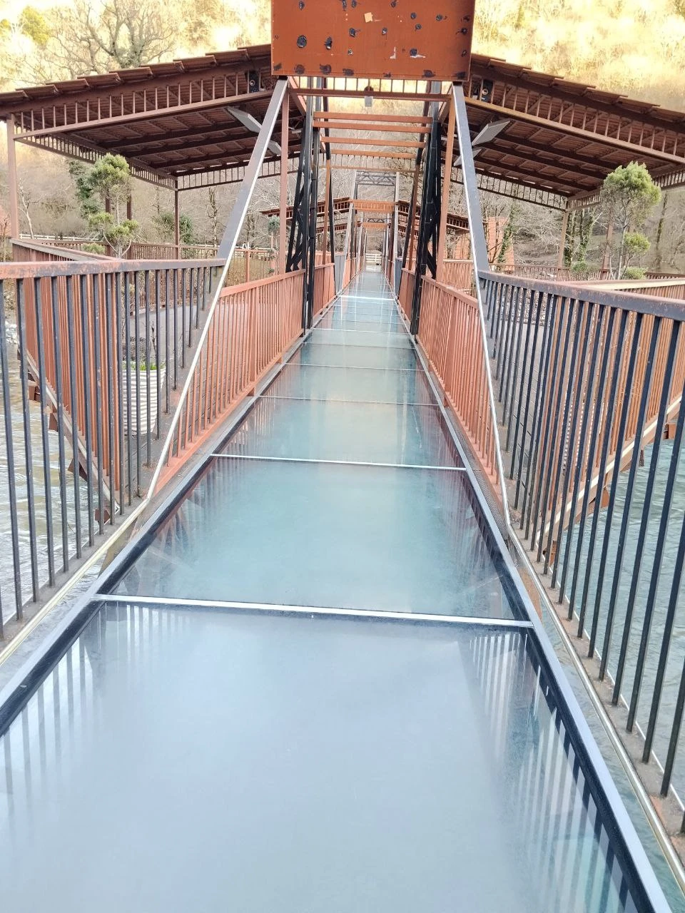 Отзыв о экскурсии "Из Адлера — навстречу природе, истории и гостеприимству Абхазии" — фото 2