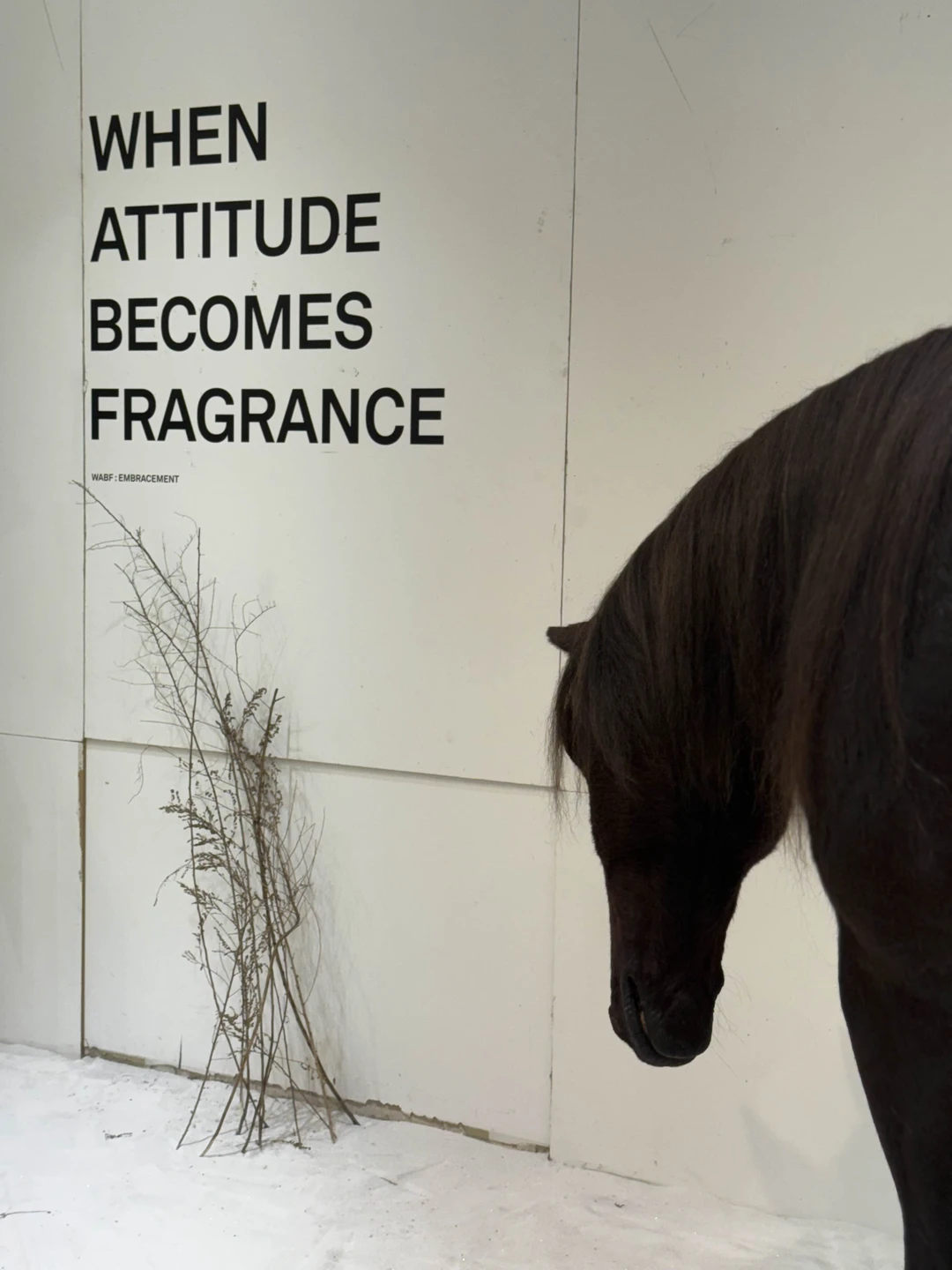 Отзыв о экскурсии "Сеул для любителей современного искусства и шопинга" — фото 2