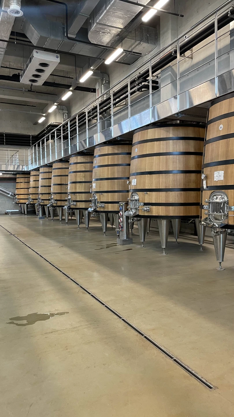 Отзыв о экскурсии "Винные открытия: Скалистый берег, Шумринка и Гай-Кодзор" — фото 8