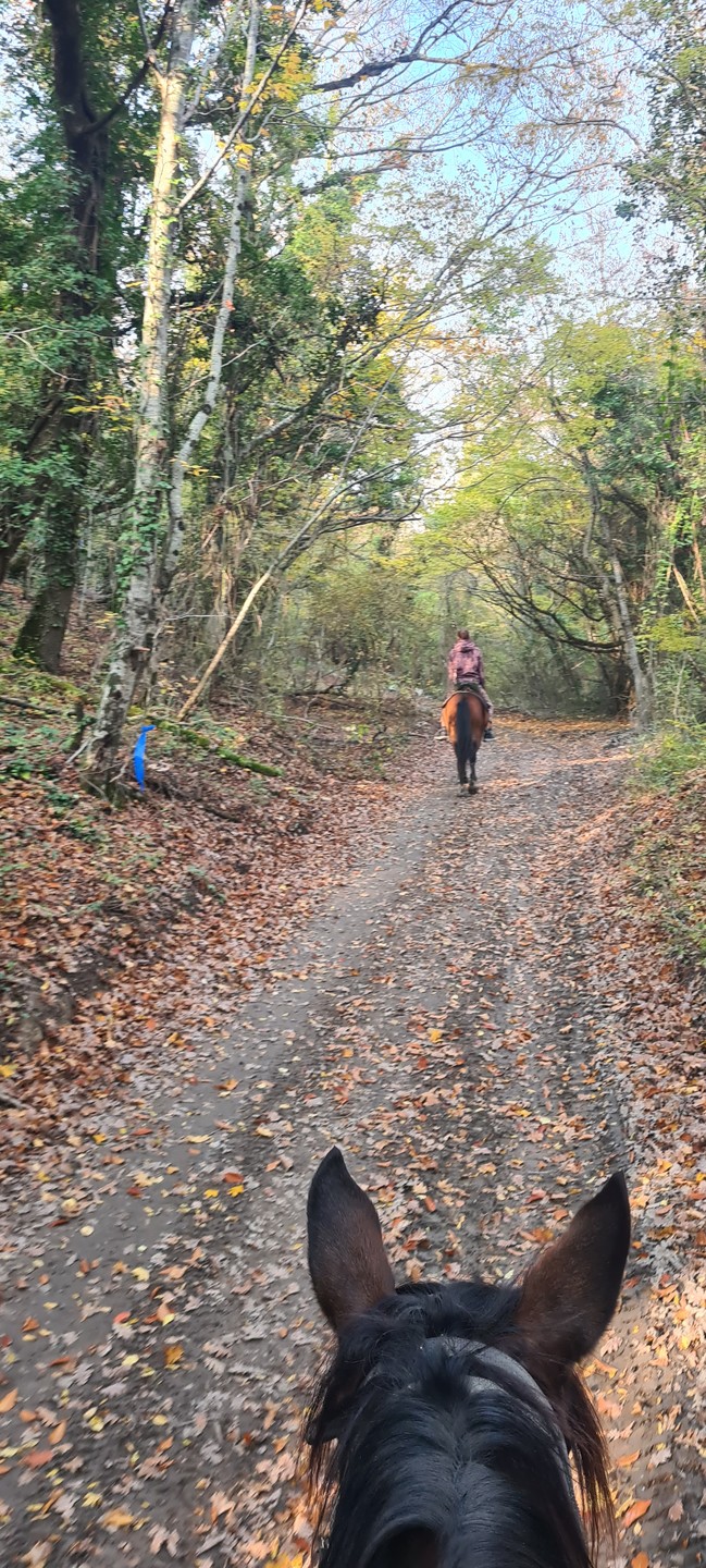 Отзыв о экскурсии "Конная прогулка в горах Геленджика" — фото 5