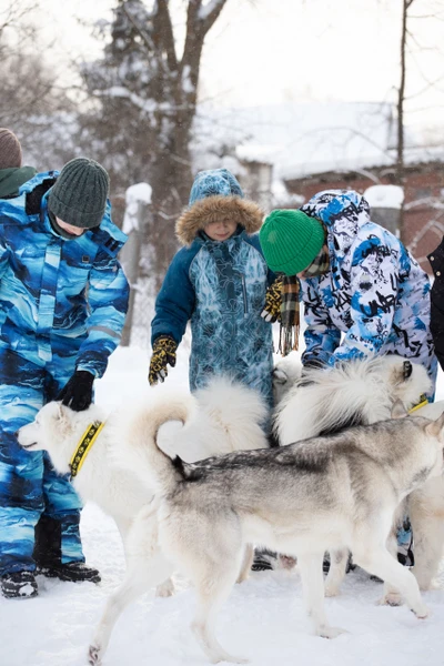 Отзыв о экскурсии "В гости к сибирским хаски и якутским лайкам" — фото 4