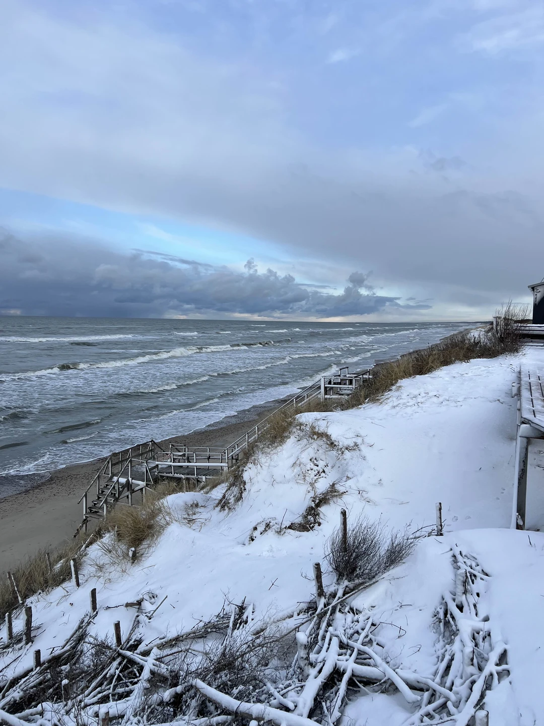 Отзыв о экскурсии "Первый раз на Куршской косе — из Зеленоградска" — фото 7