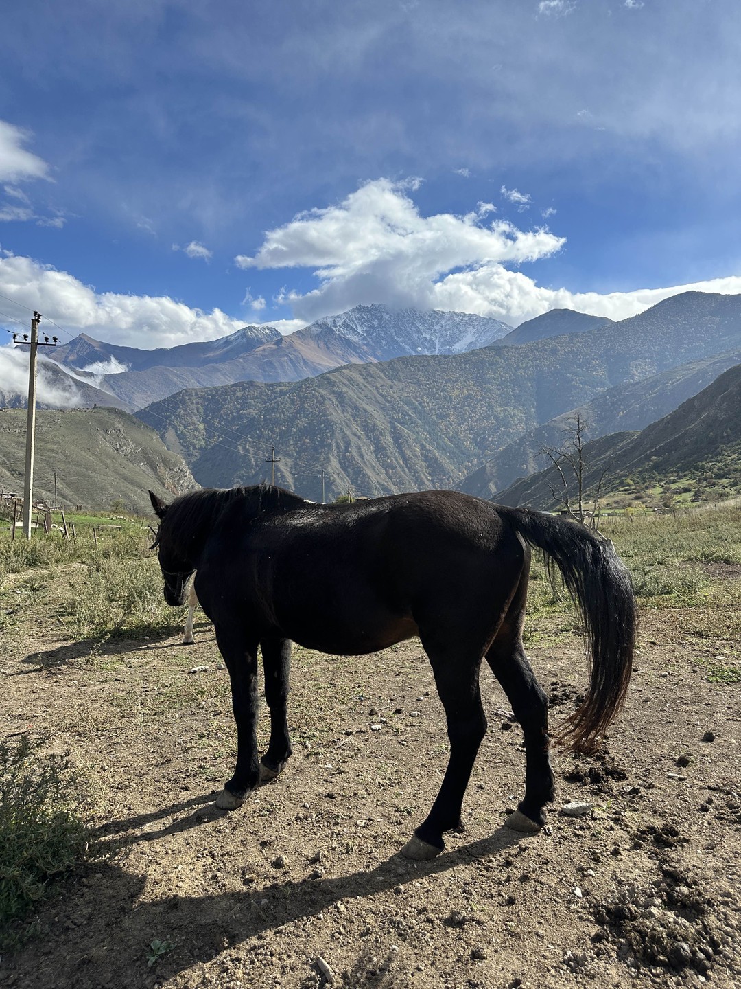 Отзыв о экскурсии "Два перевала: тайны ущелий и гор Алании (из Владикавказа)" — фото 1