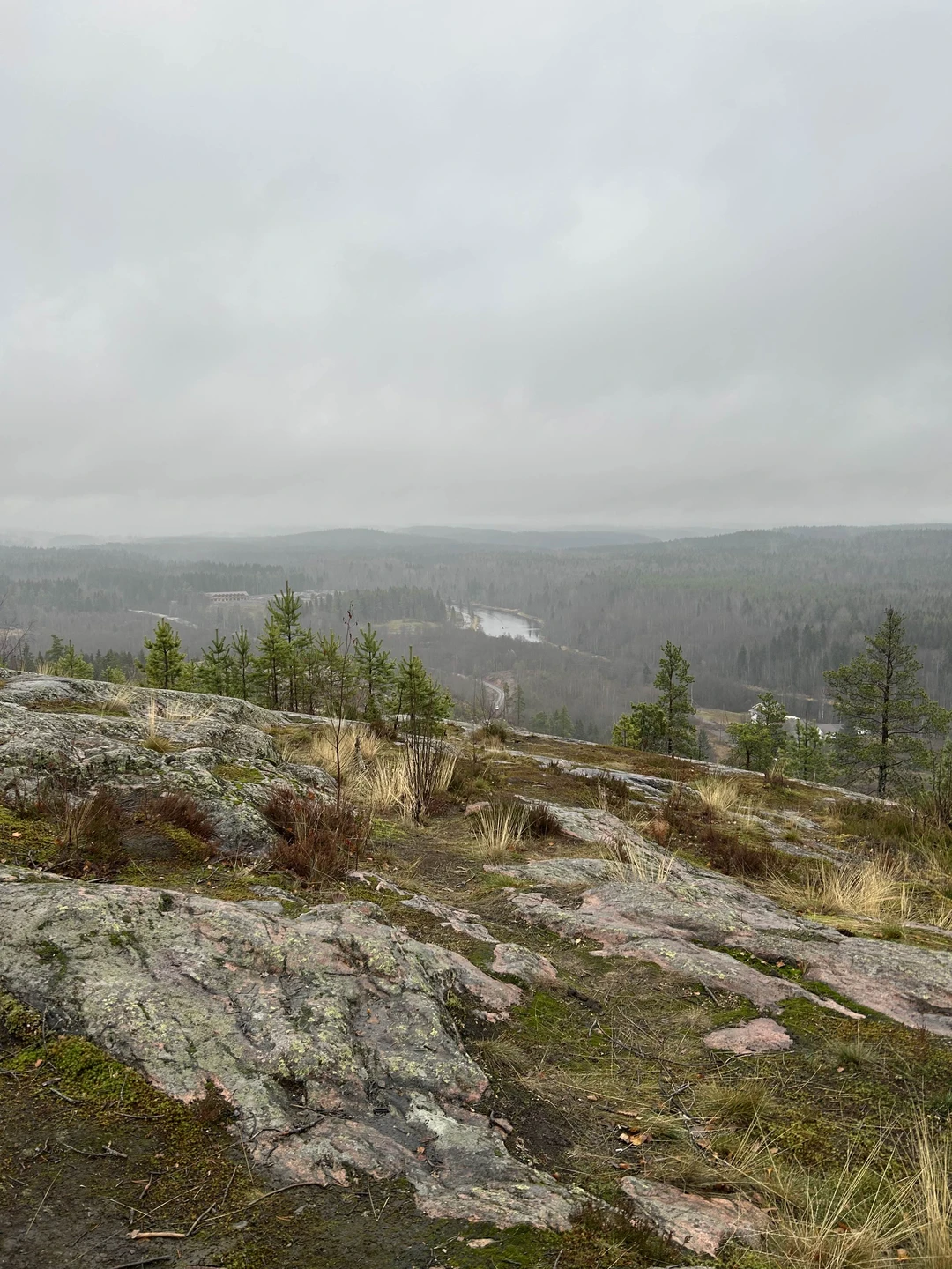 Отзыв о экскурсии "Ладожские шхеры и водопады Карелии за один день" — фото 4