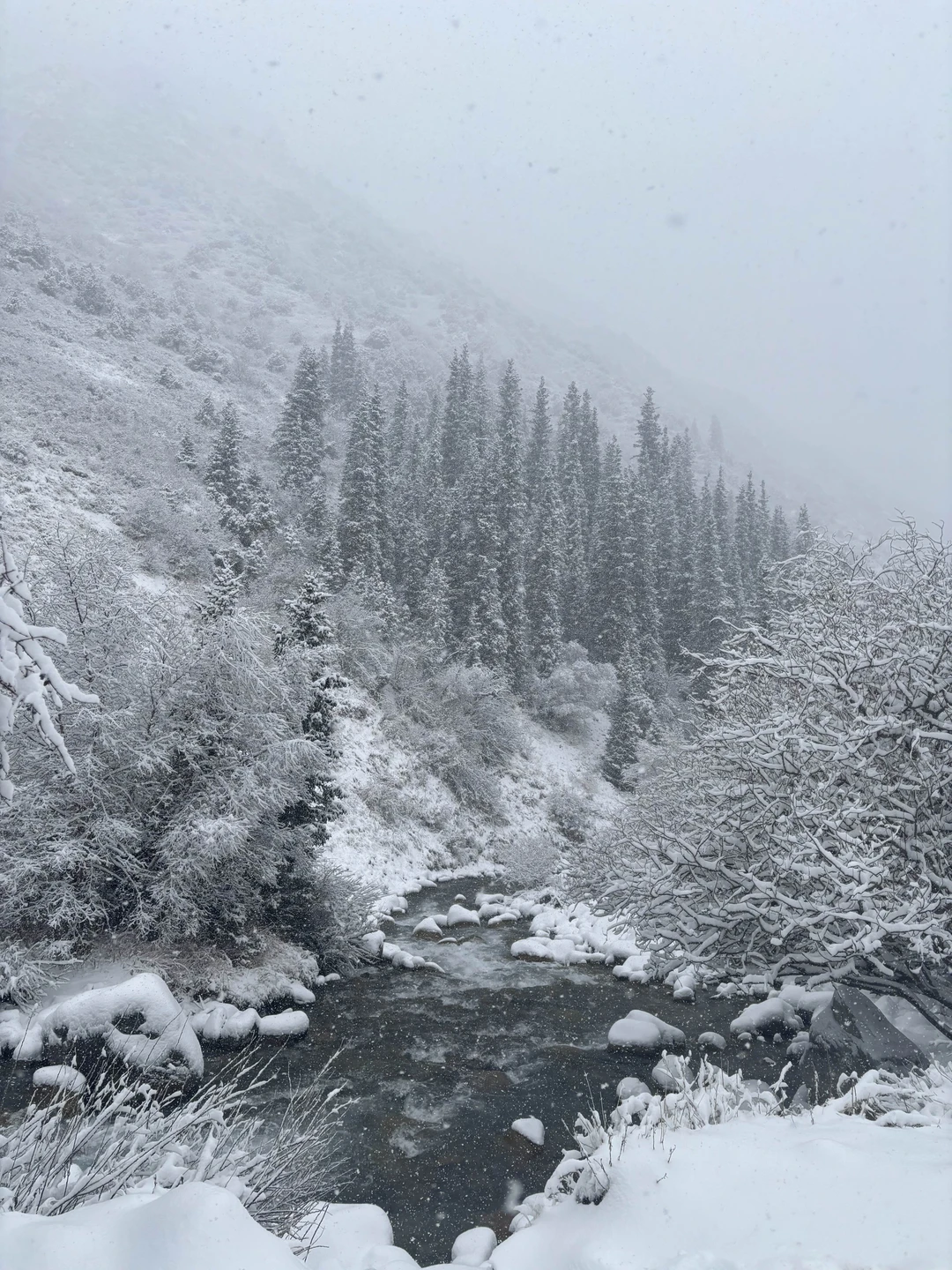 Отзыв о экскурсии "Национальный парк «Ала-Арча»: приключение в горах близ Бишкека" — фото 1