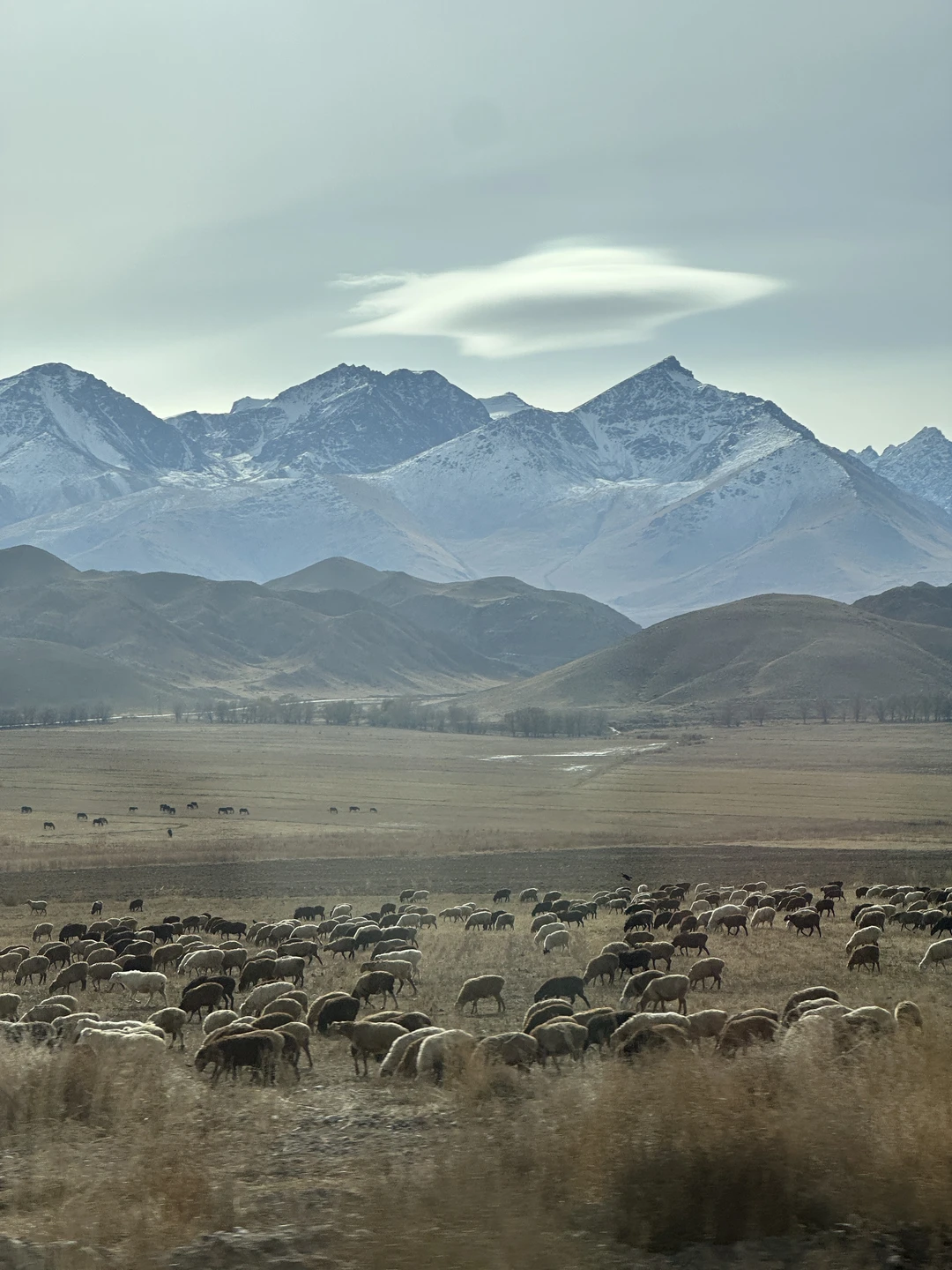 Фото путешественника — 2