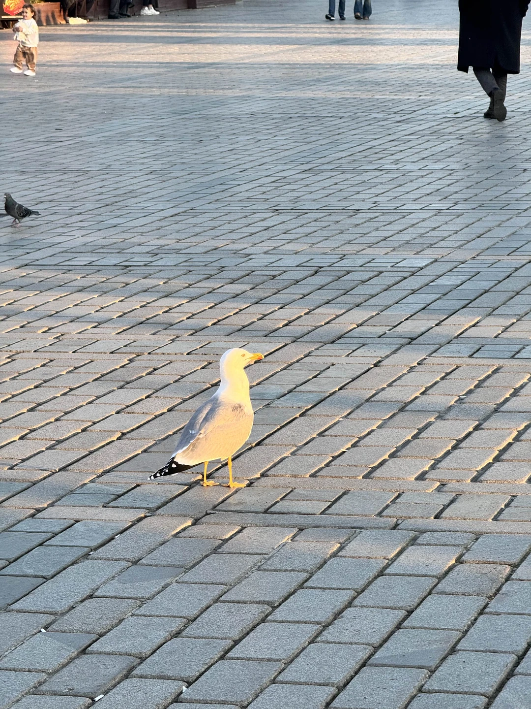 Отзыв о экскурсии "Визитные карточки Стамбула" — фото 5