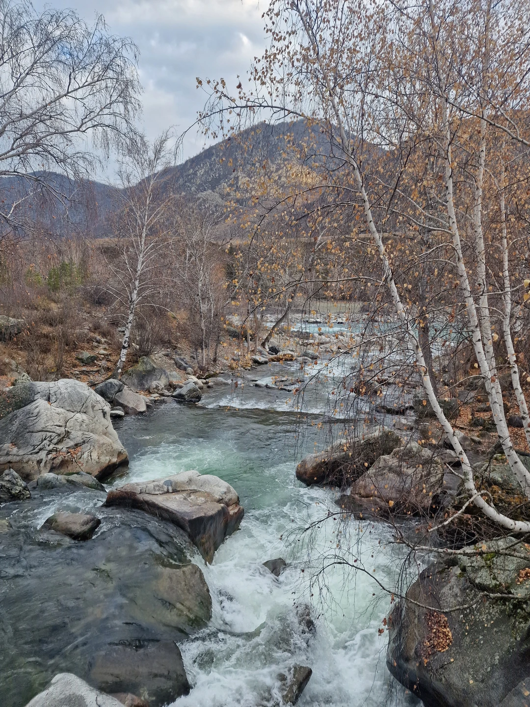 Отзыв о экскурсии "Чуйский тракт за 1 день: экскурсия-конструктор" — фото 3