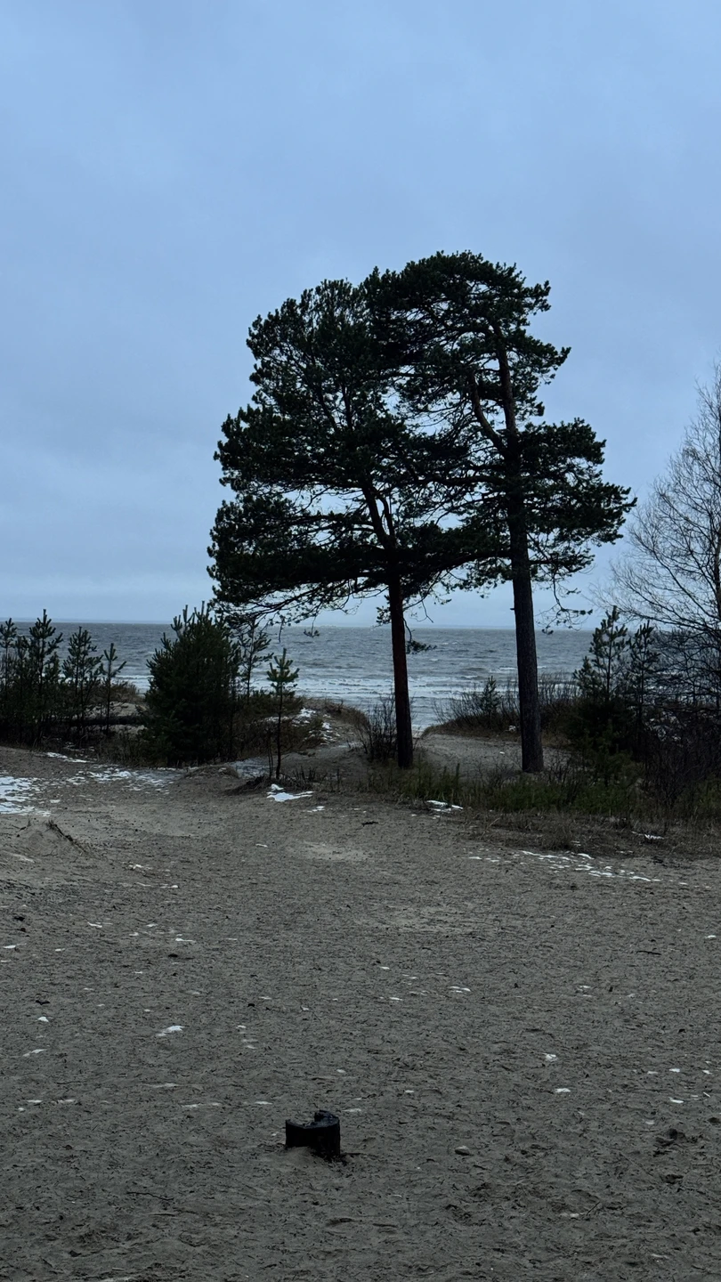 Отзыв о экскурсии "В Северодвинск — к подлодкам и Белому морю!" — фото 1
