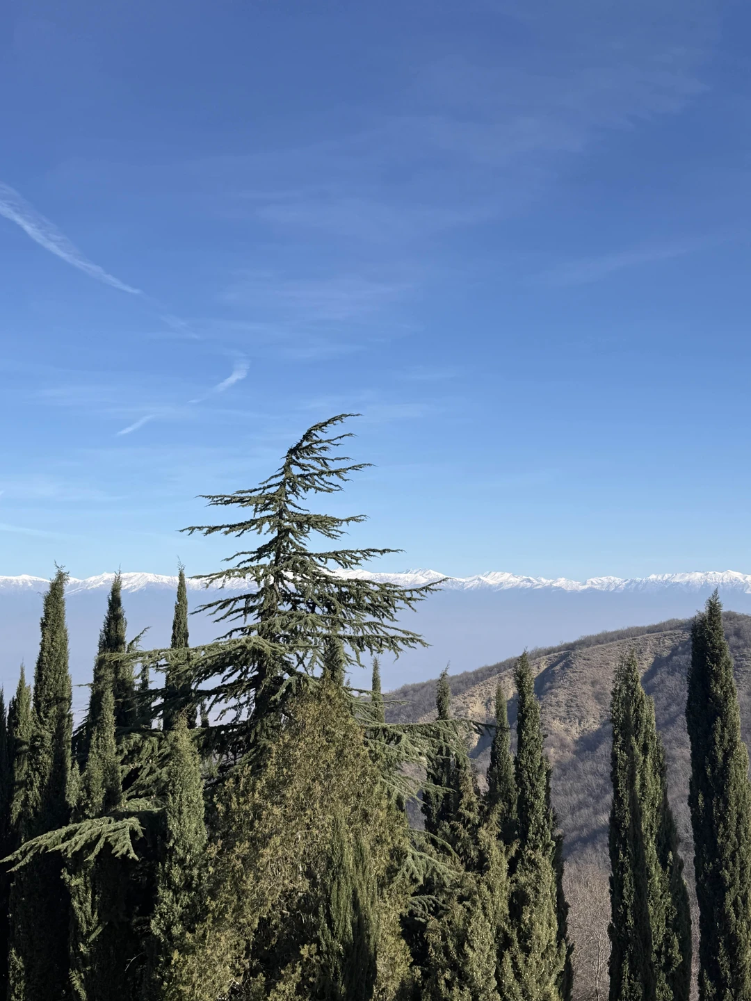 Отзывы об экскурсиях в Тбилиси