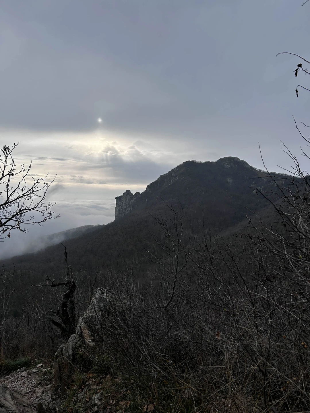 Отзыв о экскурсии "Бештау: восхождение на любую из пяти вершин в удобное для вас время" — фото 3