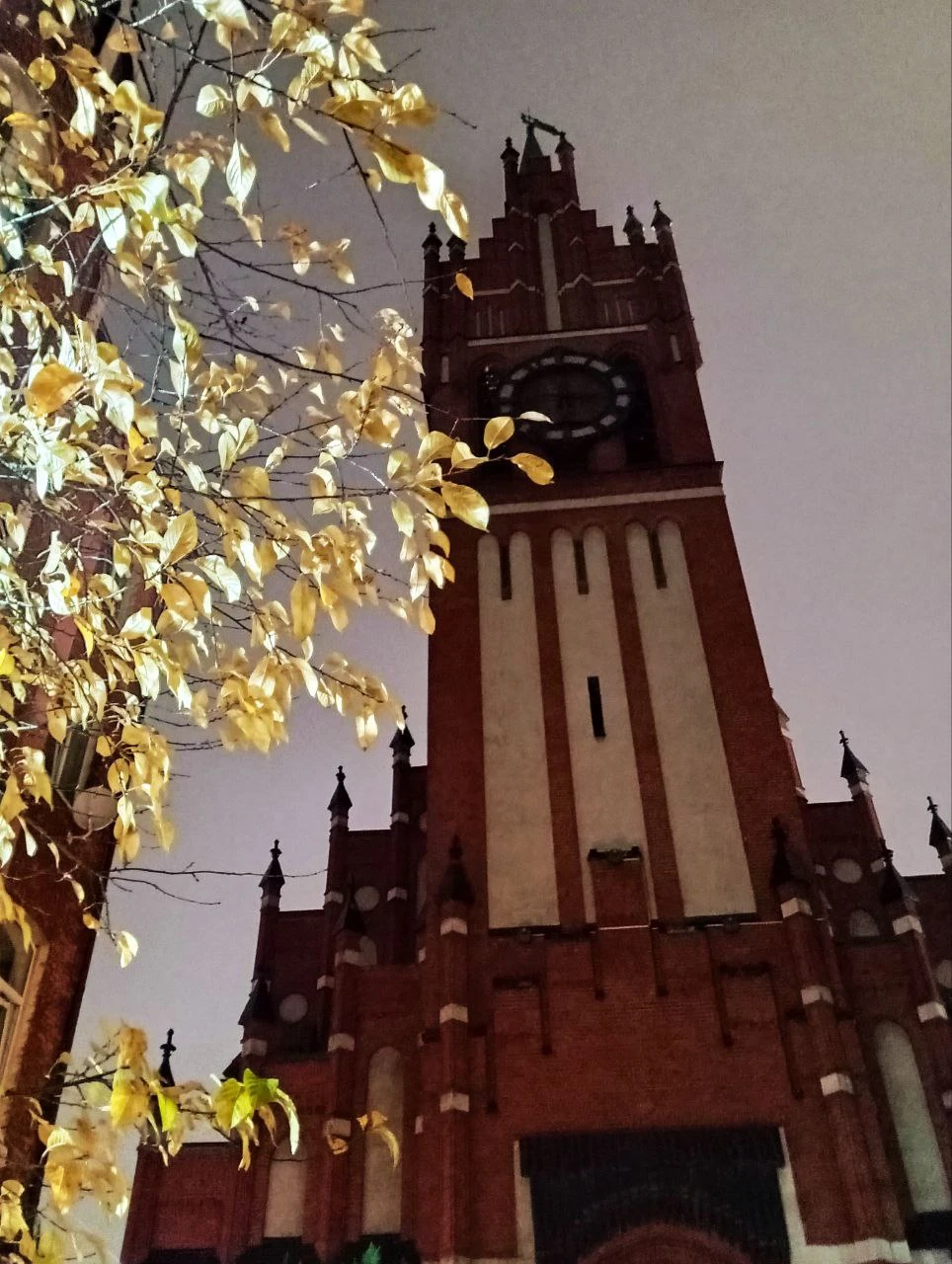 Фото путешественника — 4