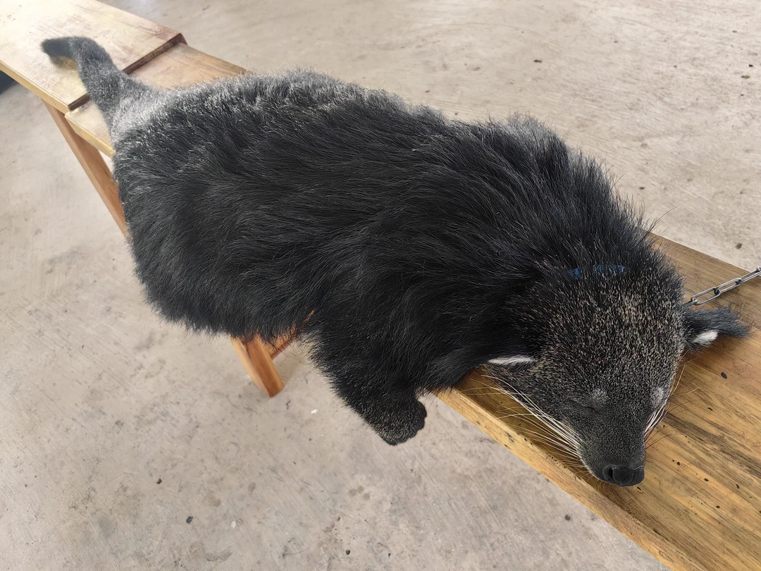 Отзыв о экскурсии "Далат на максимум (из Нячанга)" — фото 4