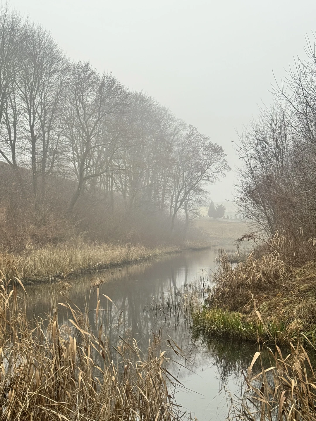 Отзыв о экскурсии "Экскурсия по нетуристической Брестской крепости" — фото 2