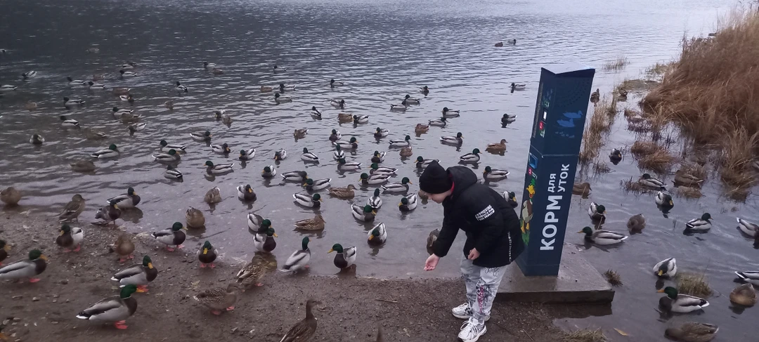 Отзыв о экскурсии "Насыщенный день в Красноярске и Дивногорье" — фото 8