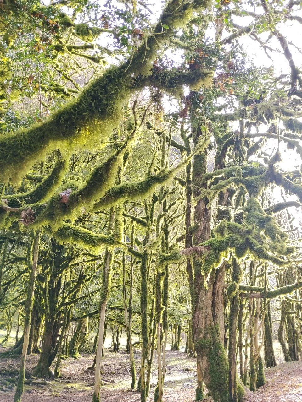 Фото путешественника — 8