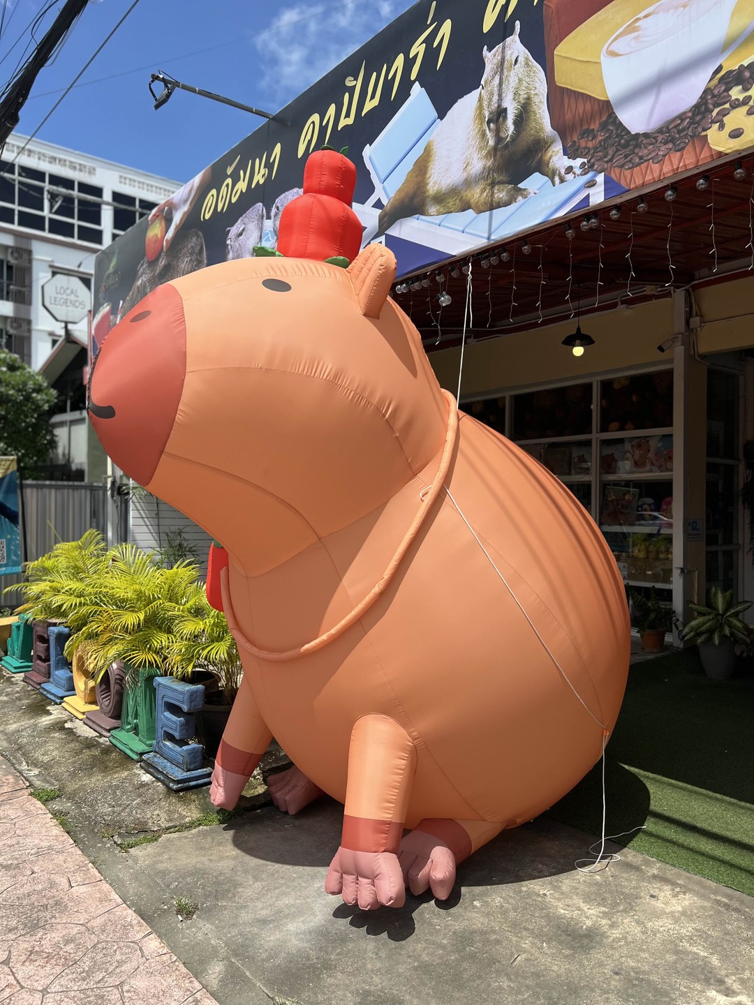 Отзыв о экскурсии "Влюбиться в Пхукет за 1 день!" — фото 4