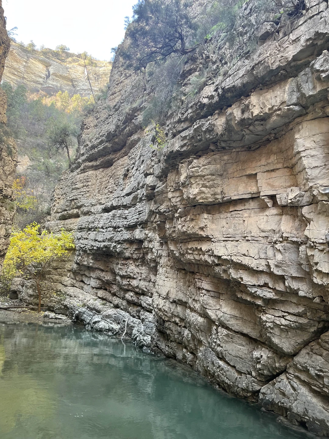 Отзыв о экскурсии "Кавказ и его чудеса: Сулакский каньон и бархан Сарыкум (из Дербента)" — фото 4