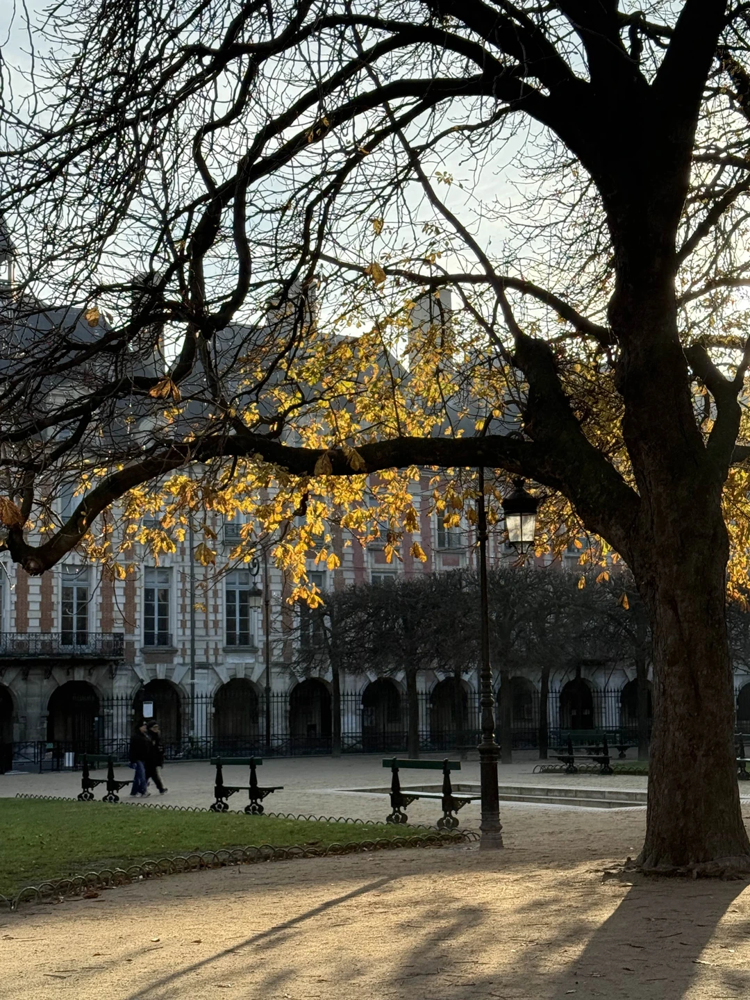 Фото путешественника — 3