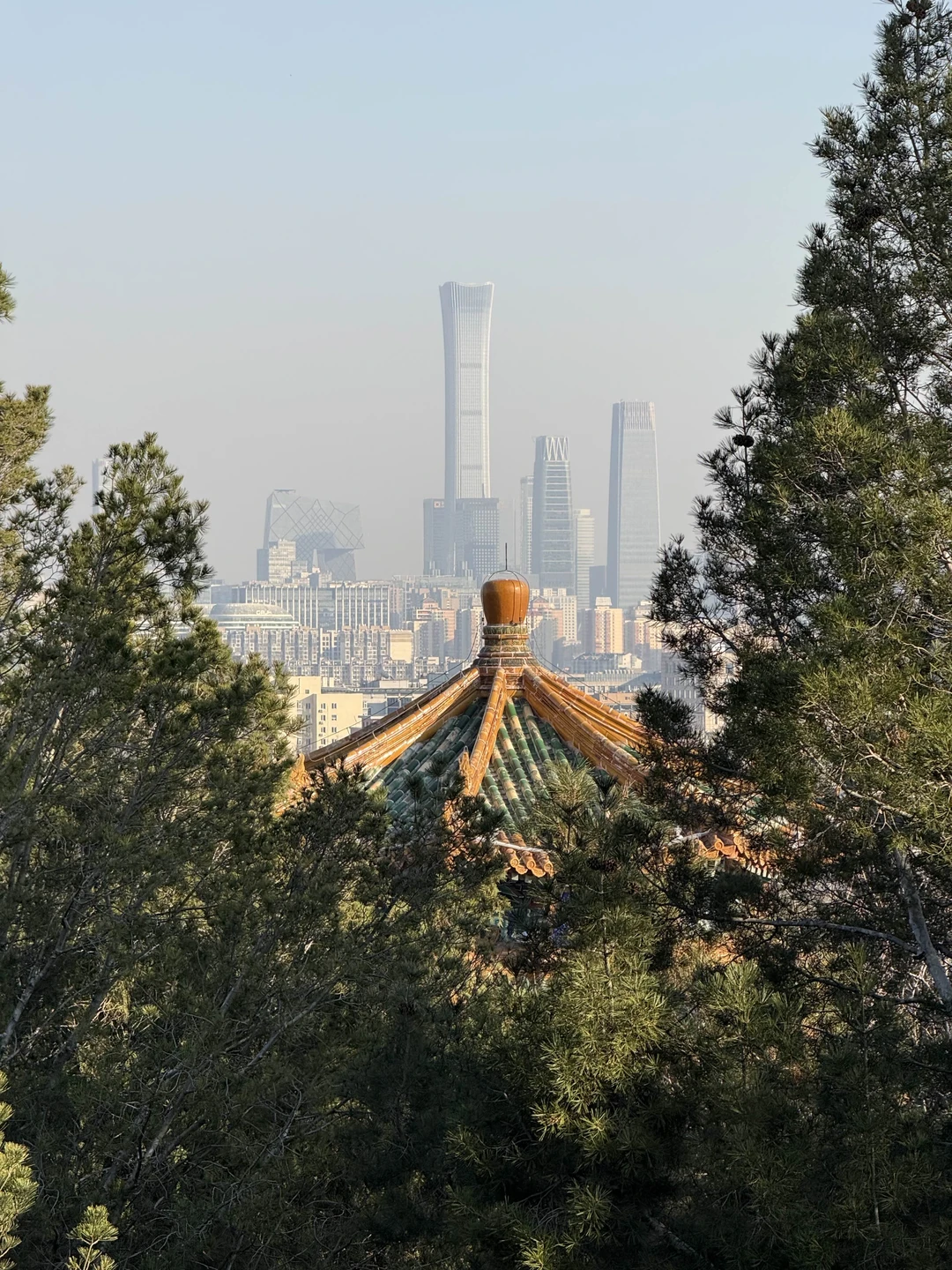 Отзыв о экскурсии "По следам императоров в Пекине" — фото 4