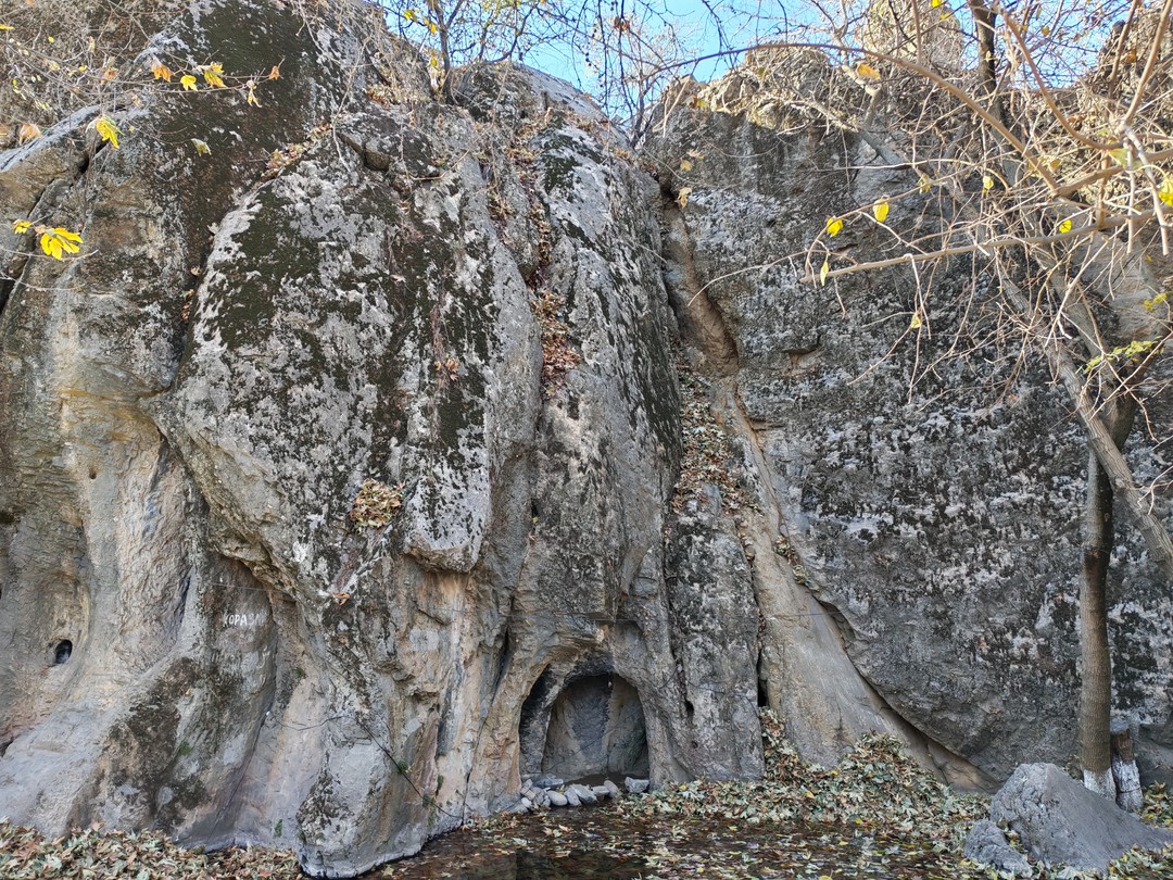 Отзыв о экскурсии "Из Ташкента — к величественным Чимганским горам!" — фото 6