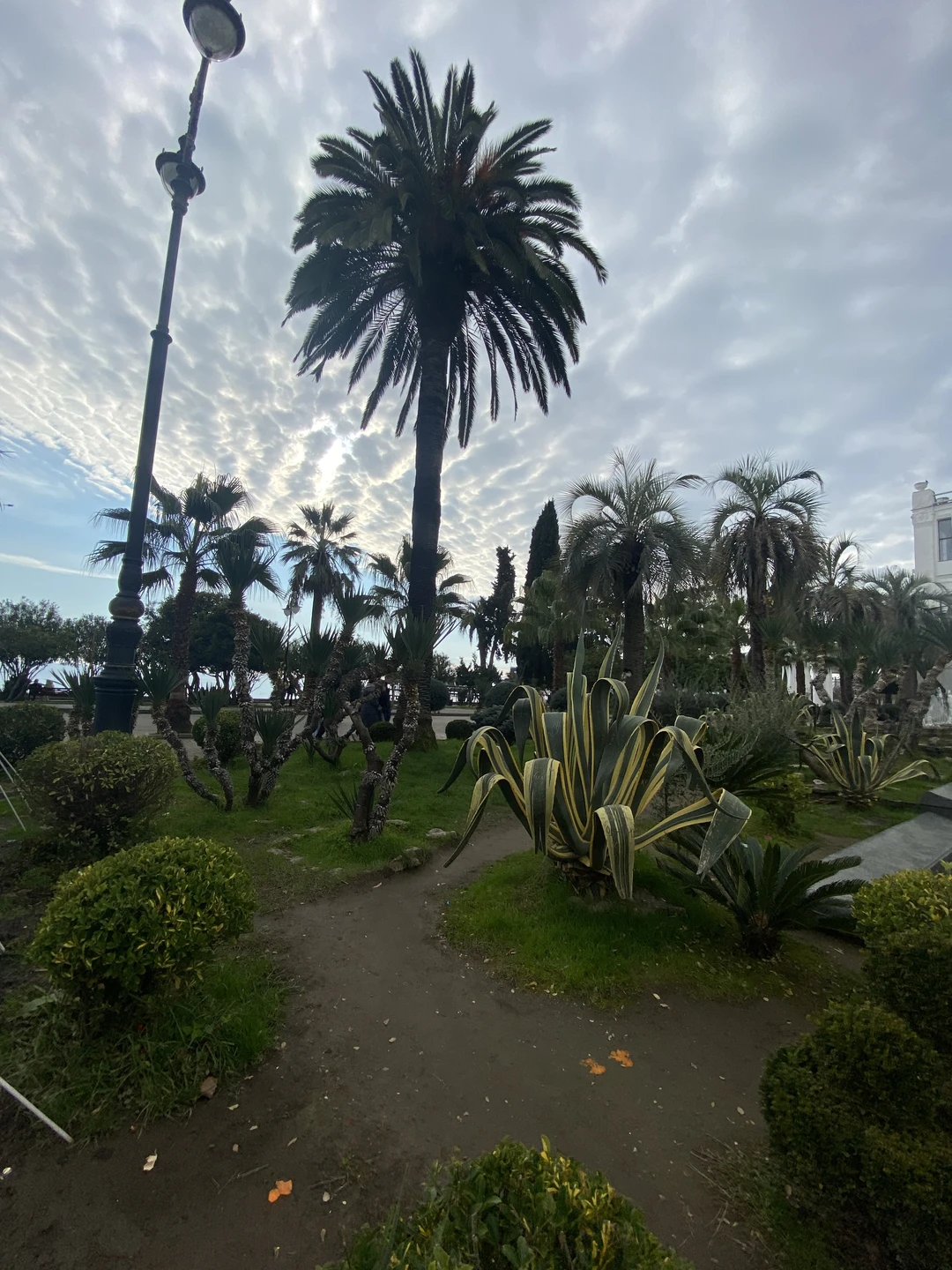 Фото путешественника — 3