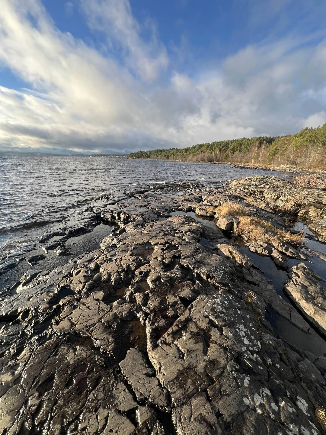 Отзыв о экскурсии "Петрозаводск — с разных сторон и с пикником!" — фото 5