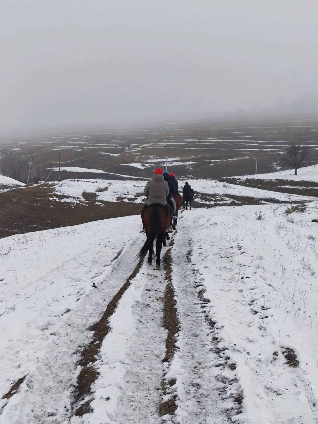 Отзыв о экскурсии "Групповая конная прогулка и мастер-класс по седланию лошади" — фото 2
