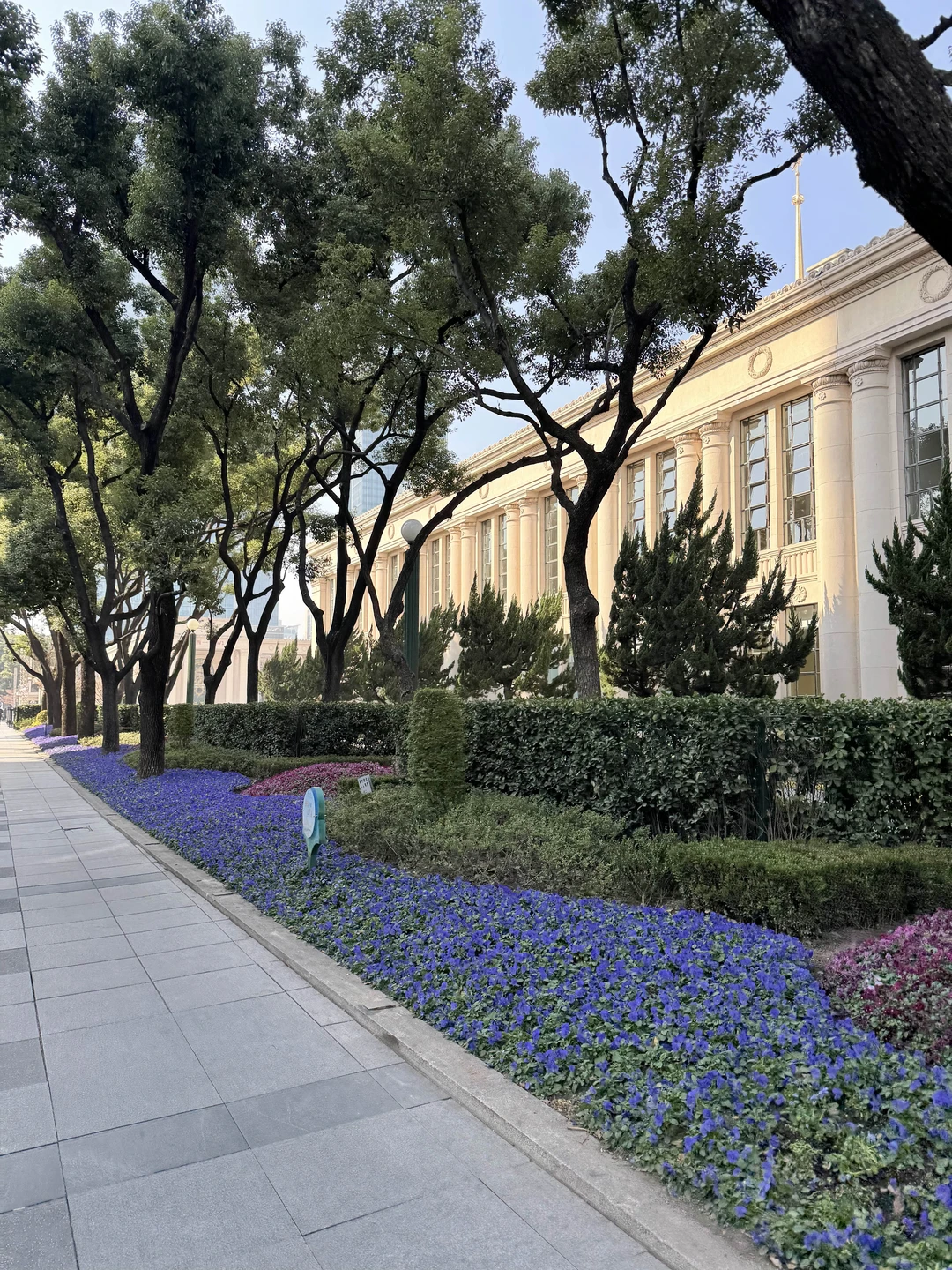 Отзыв о экскурсии "Шанхай за несколько часов — для тех, кто проездом" — фото 3