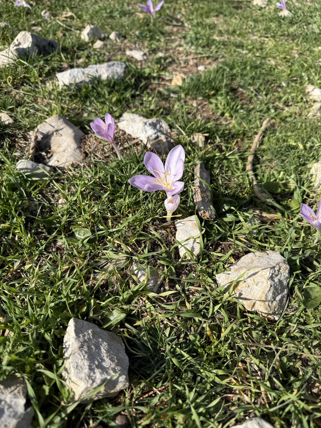 Отзыв о экскурсии "На джипе в горы — туда, где живёт настоящая Турция (из Кемера)" — фото 5