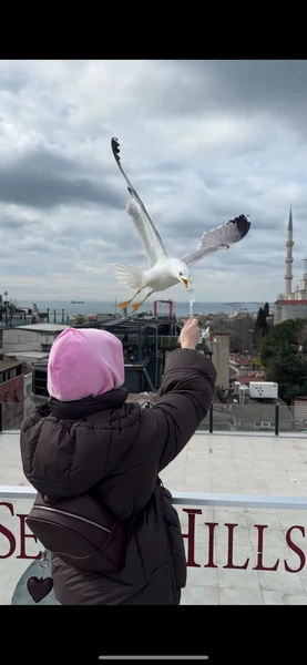 Фото путешественника — 8