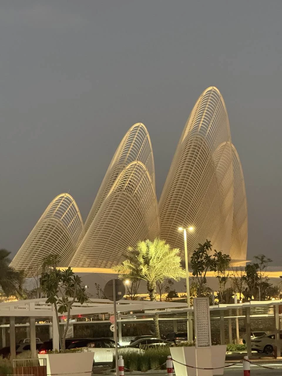 Отзыв о экскурсии "Золотой город: весь Абу-Даби за 1 день" — фото 3