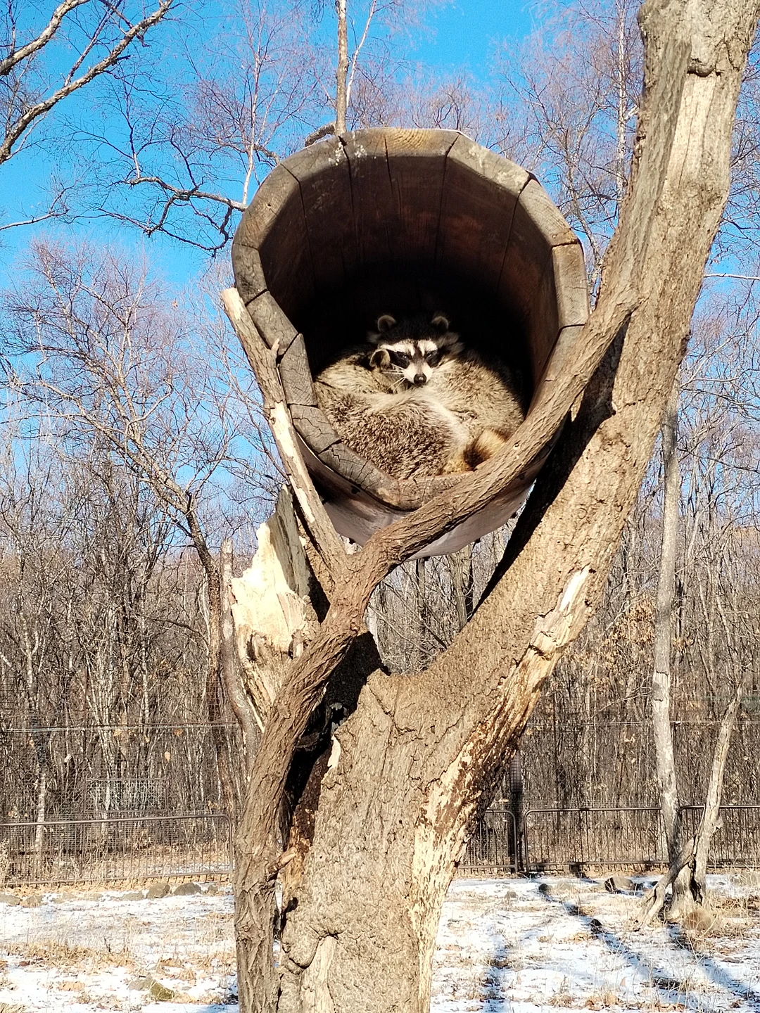 Отзывы об экскурсиях во Владивостоке