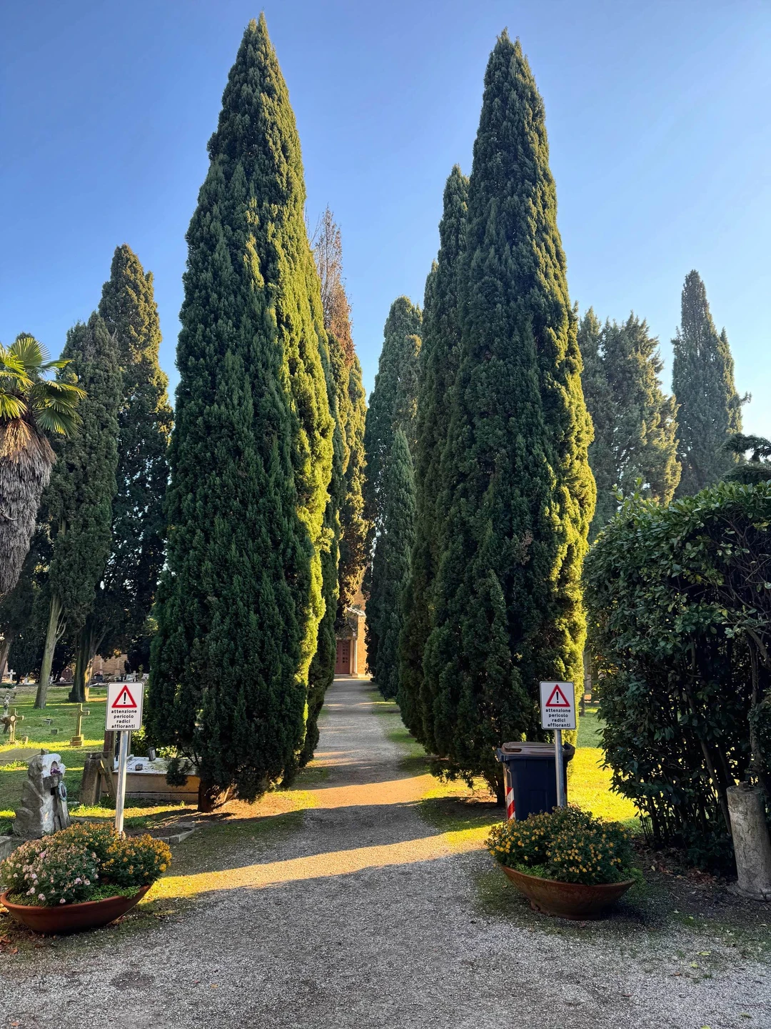 Отзывы об экскурсиях в Венеции