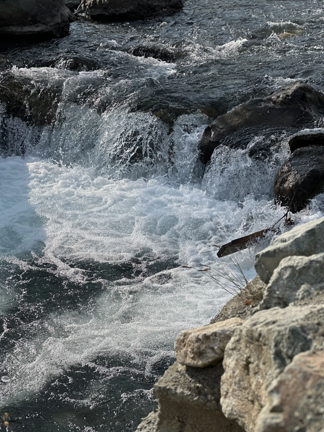 Отзыв о экскурсии "Поездка в группе «Осетия — любовь с первого взгляда!»" — фото 8