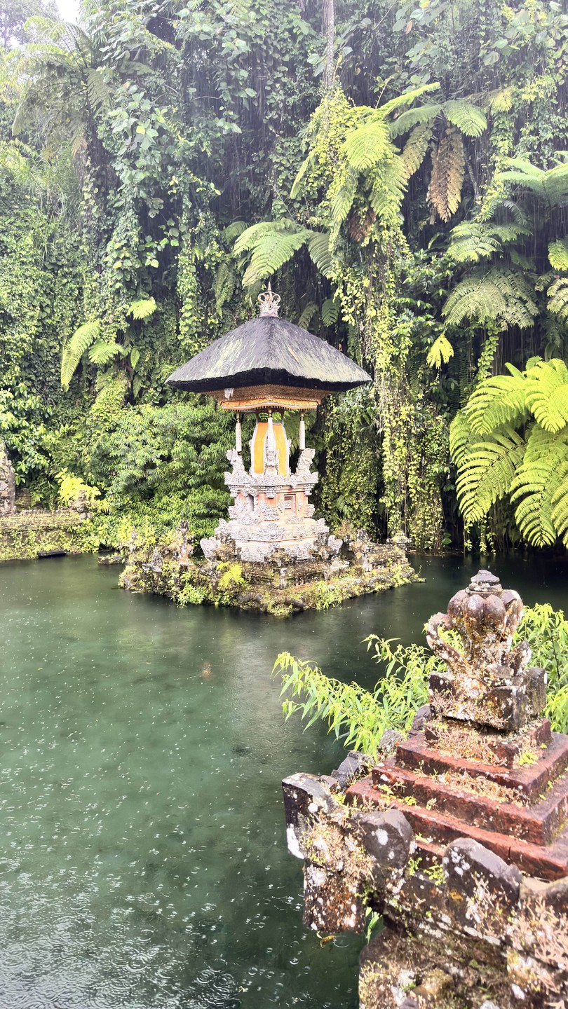 Отзыв о экскурсии "Сердце Бали: живописные плантации, парк птиц и краски Убуда" — фото 1