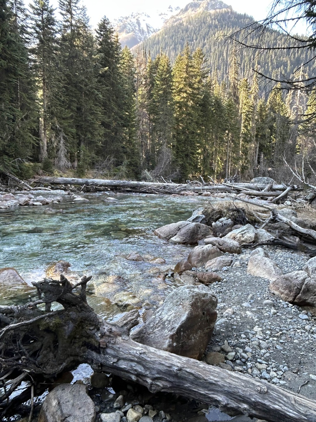 Отзыв о экскурсии "Автопутешествие на Домбай в мини-группе из Пятигорска" — фото 2