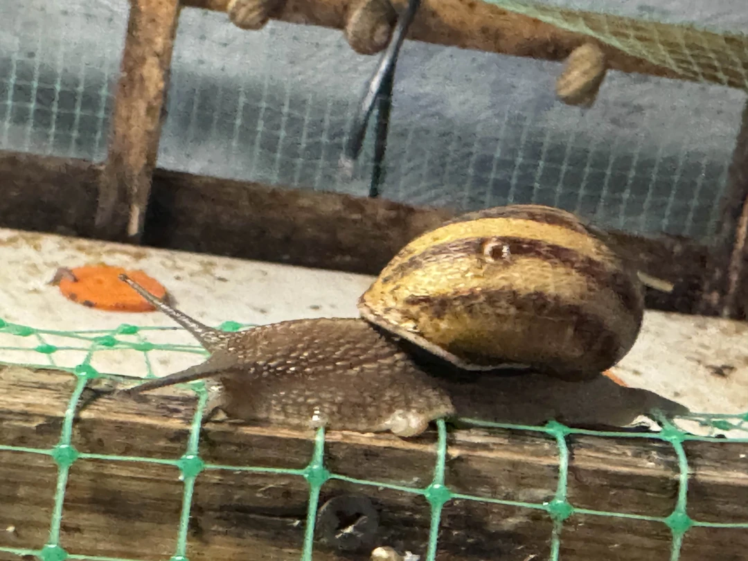 Фото путешественника — 4