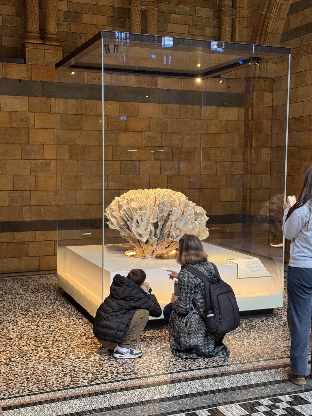 Отзыв о экскурсии "Музей естественной истории Лондона — для детей и родителей" — фото 1